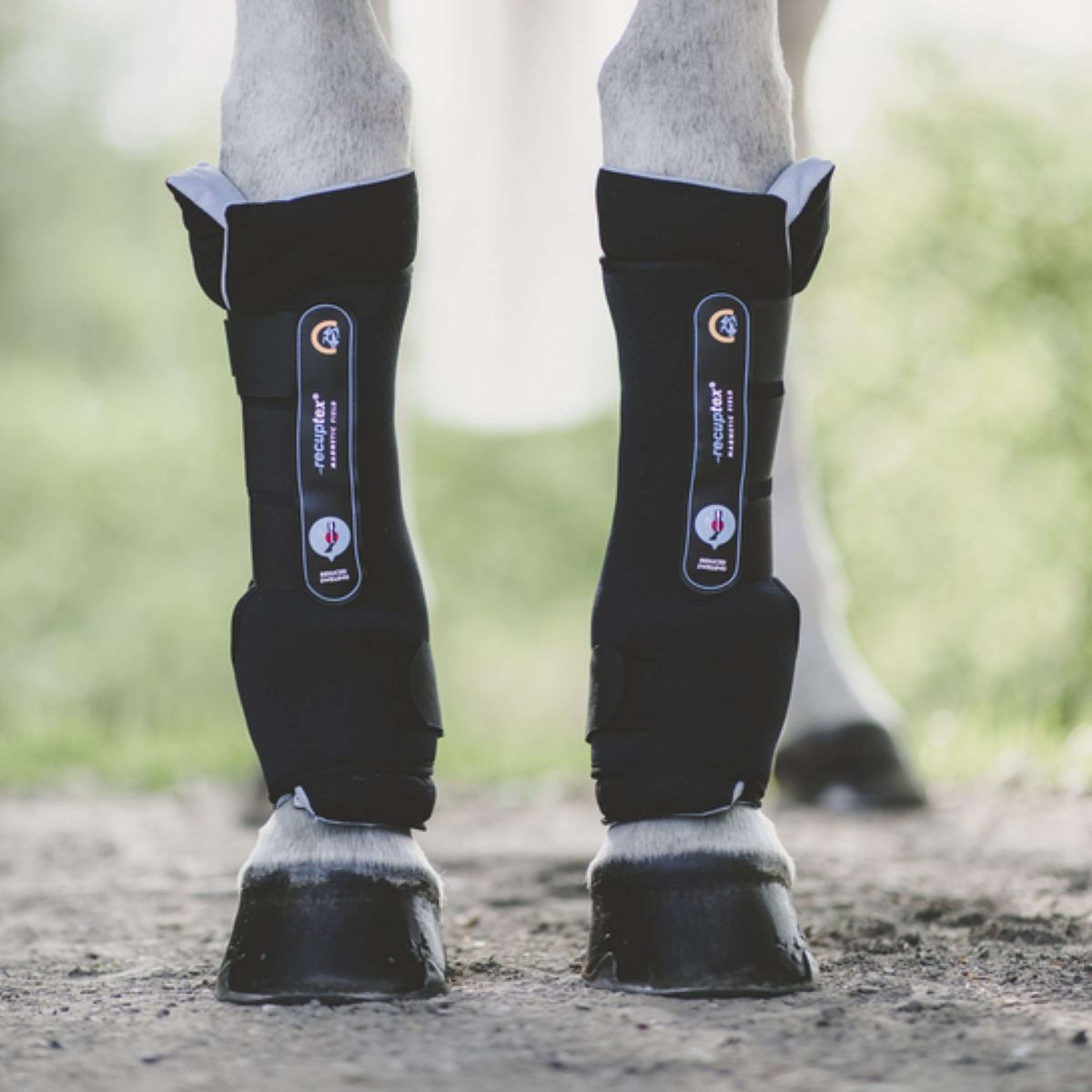 Kentucky Horsewear Stable Boots Recuptex Magnetic Nero