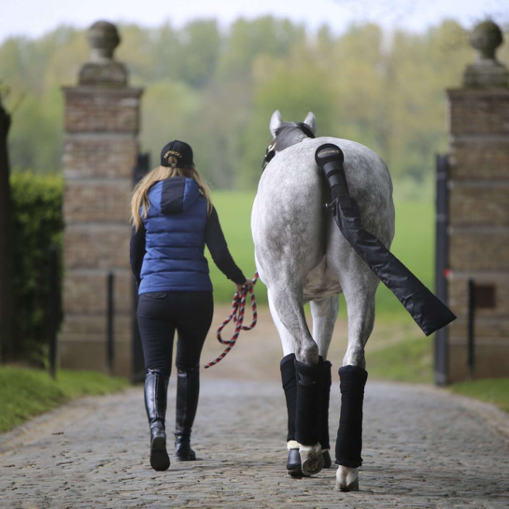 Kentucky Horsewear Fasciatura stabile Nero