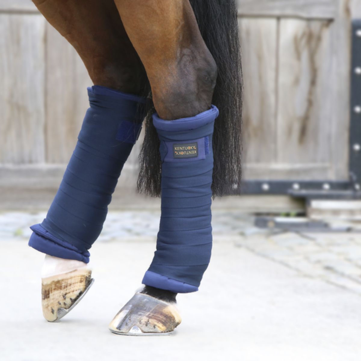 Kentucky Horsewear Fasciatura stabile Navy