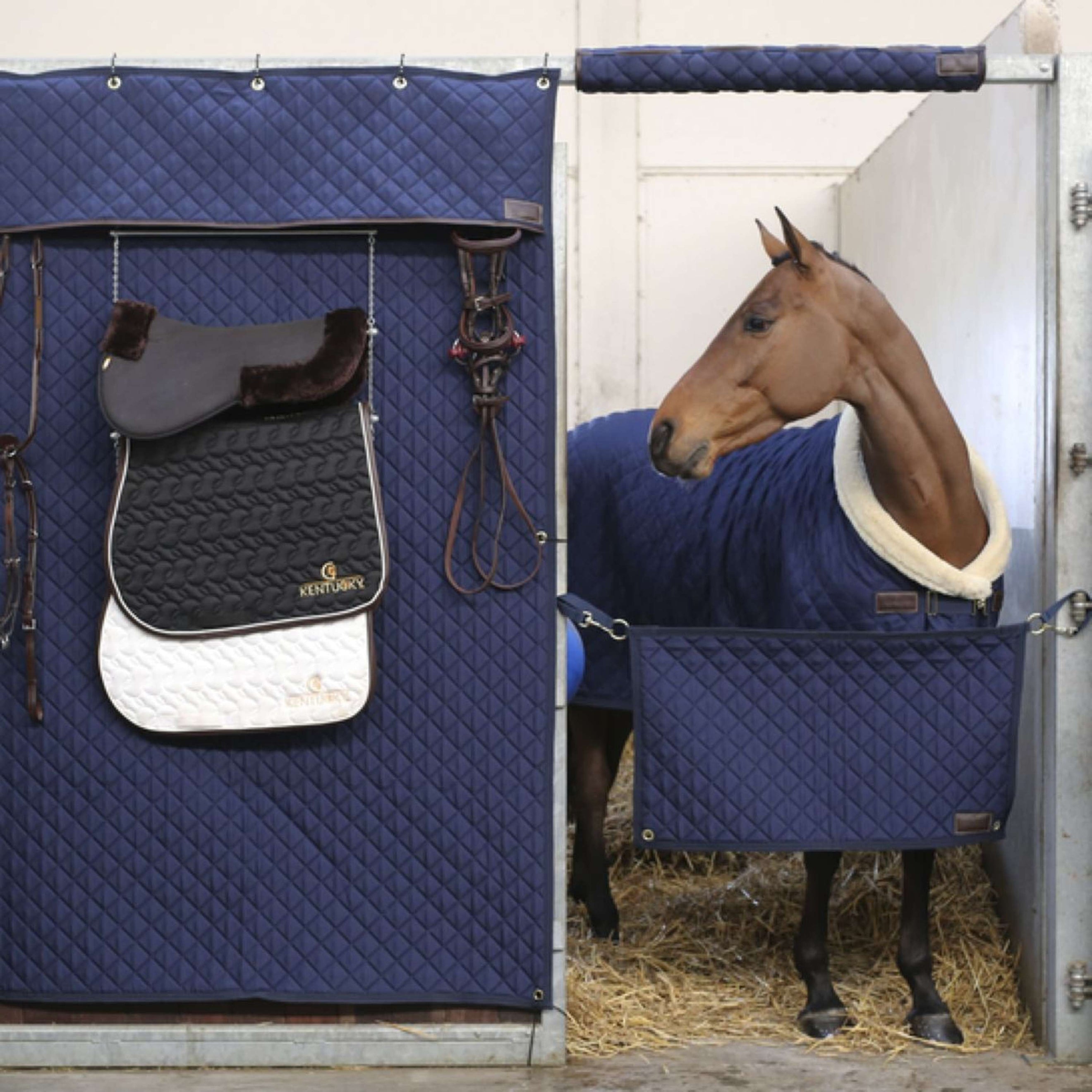 Kentucky Horsewear Protezione per la testa stalla Navy