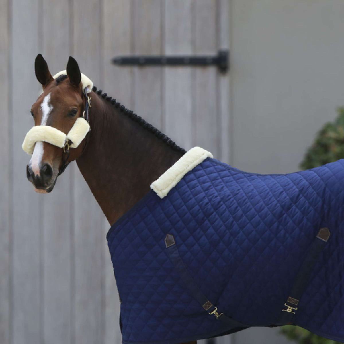 Kentucky Horsewear Coperta da scuderia 400g Navy