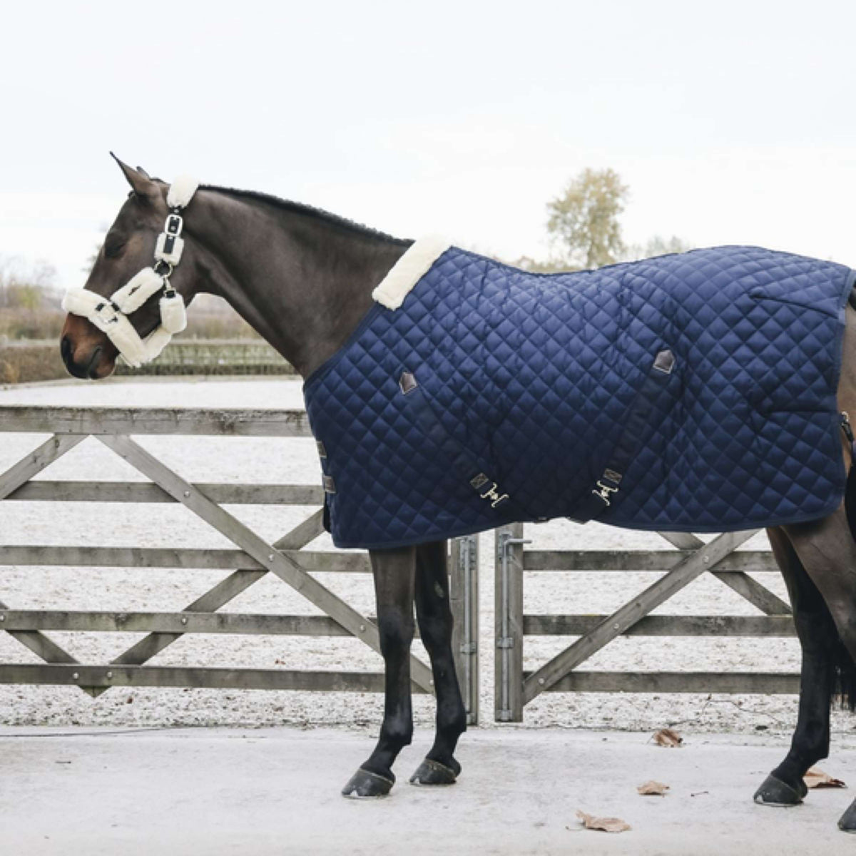 Kentucky Horsewear Coperta da scuderia 400g Navy