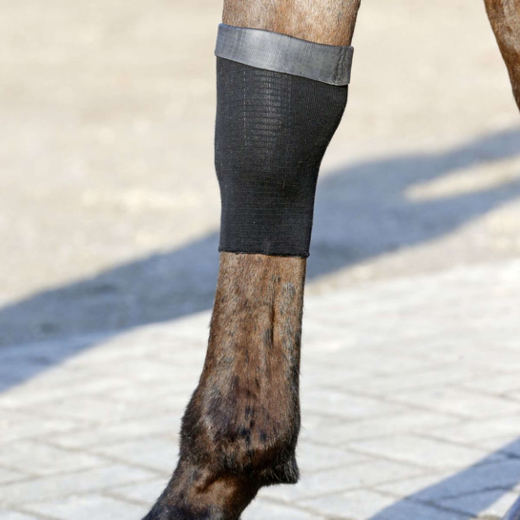 Kentucky Horsewear Calzini da equitazione Tendon Grip Gel Nero