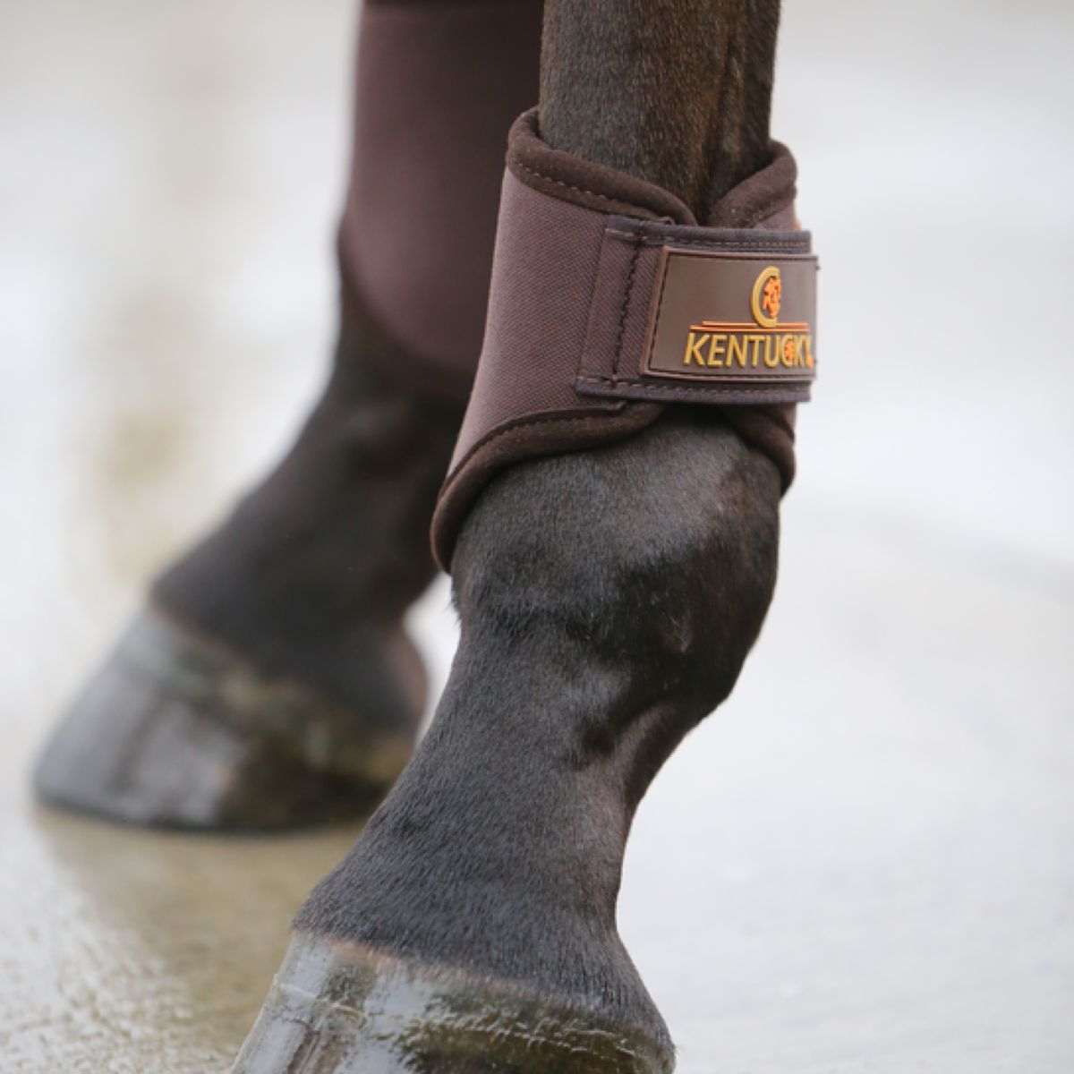Kentucky Horsewear Stivali per l'affluenza alle urne 3D Spacer Marrone