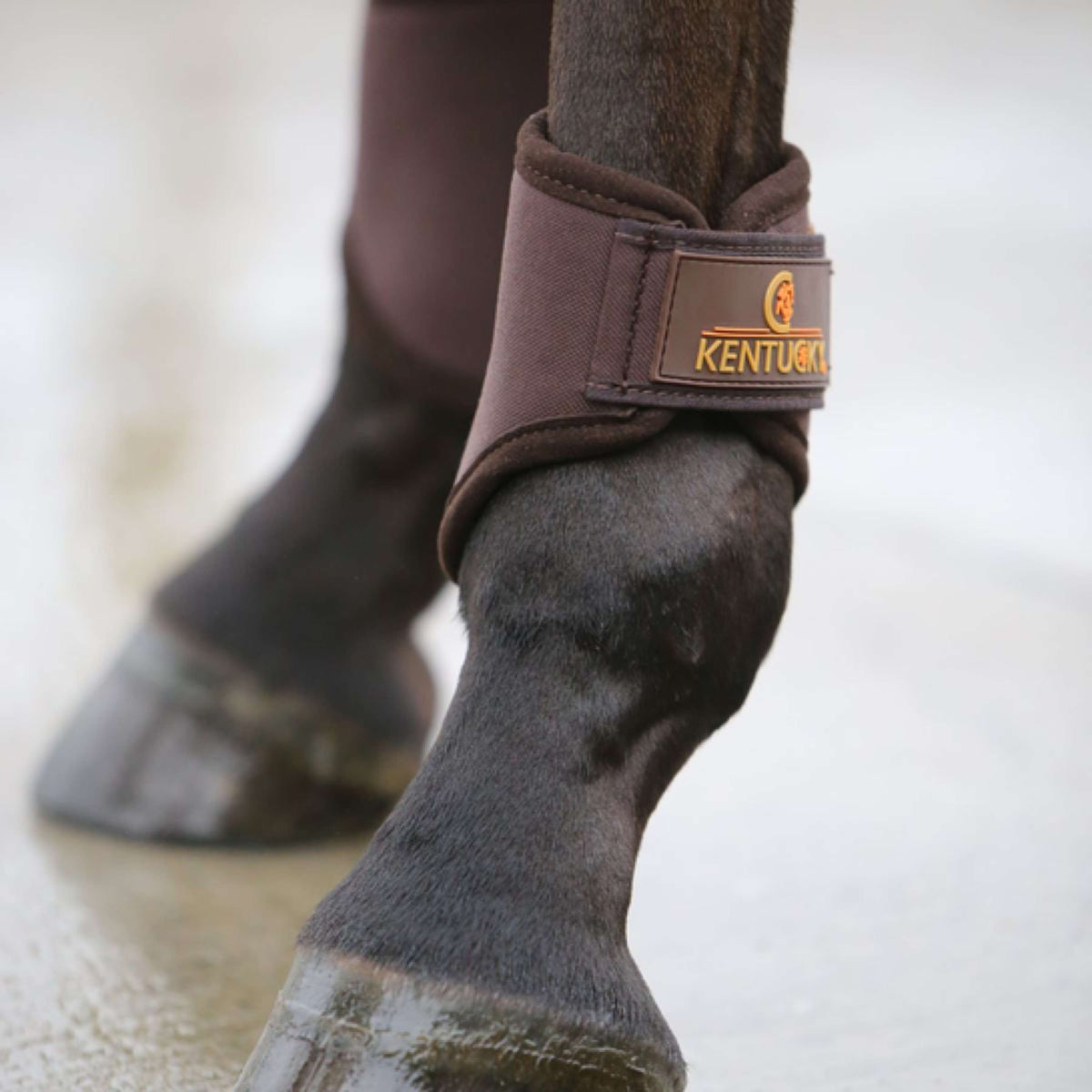 Kentucky Horsewear Stivali per l'affluenza alle urne 3D Spacer Marrone