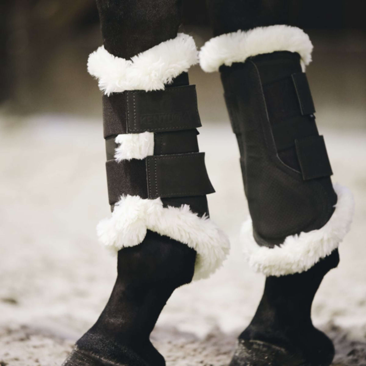 Kentucky Horsewear Stivali per l'affluenza alle urne Air Marrone