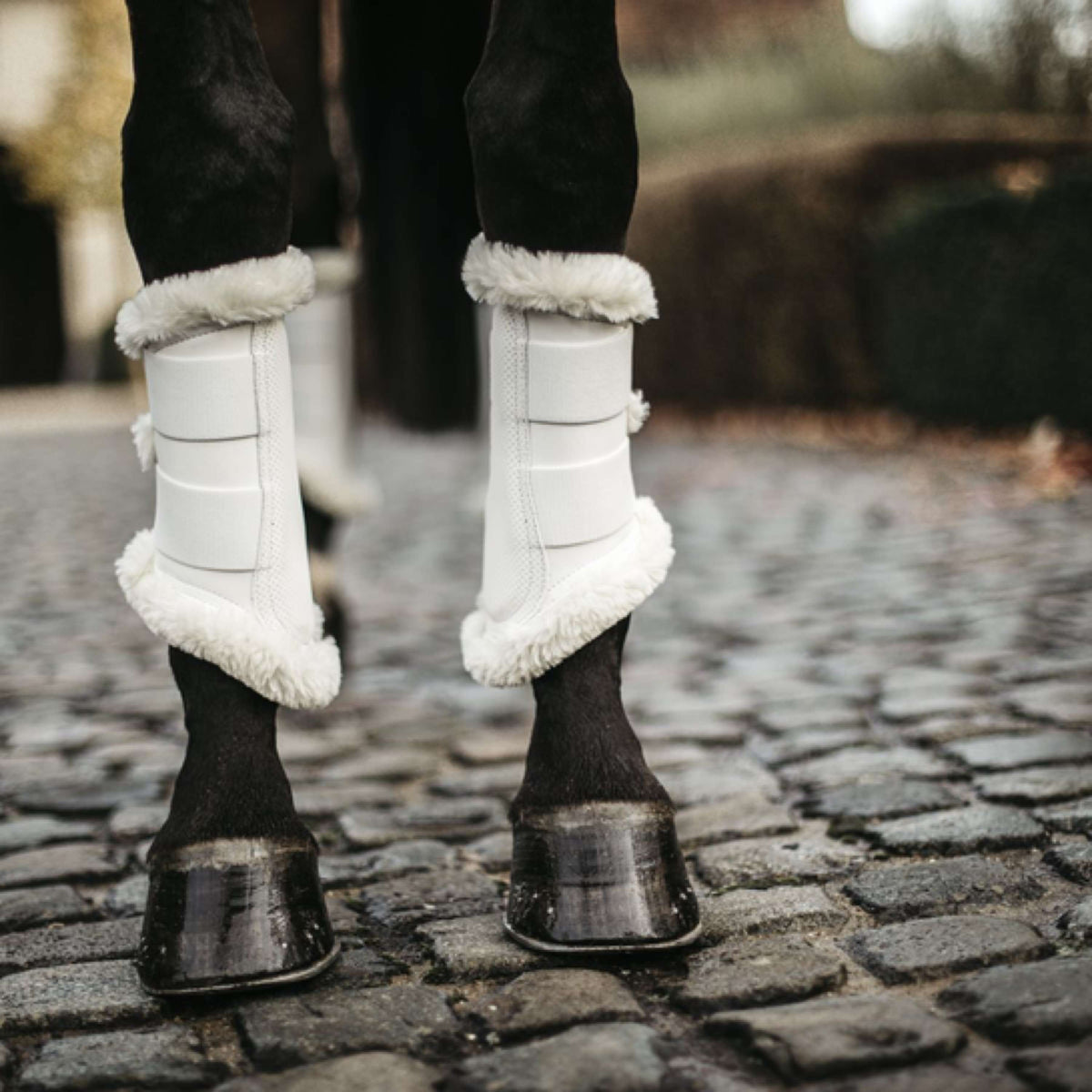 Kentucky Horsewear Stivali per l'affluenza alle urne Air Bianco