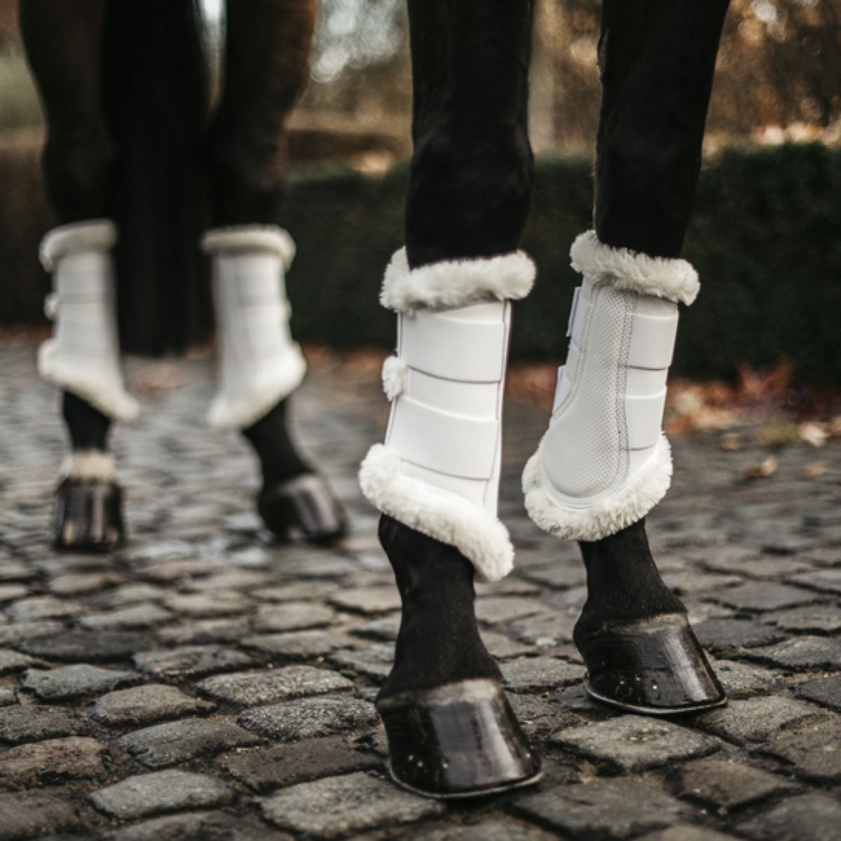 Kentucky Horsewear Stivali per l'affluenza alle urne Air Bianco