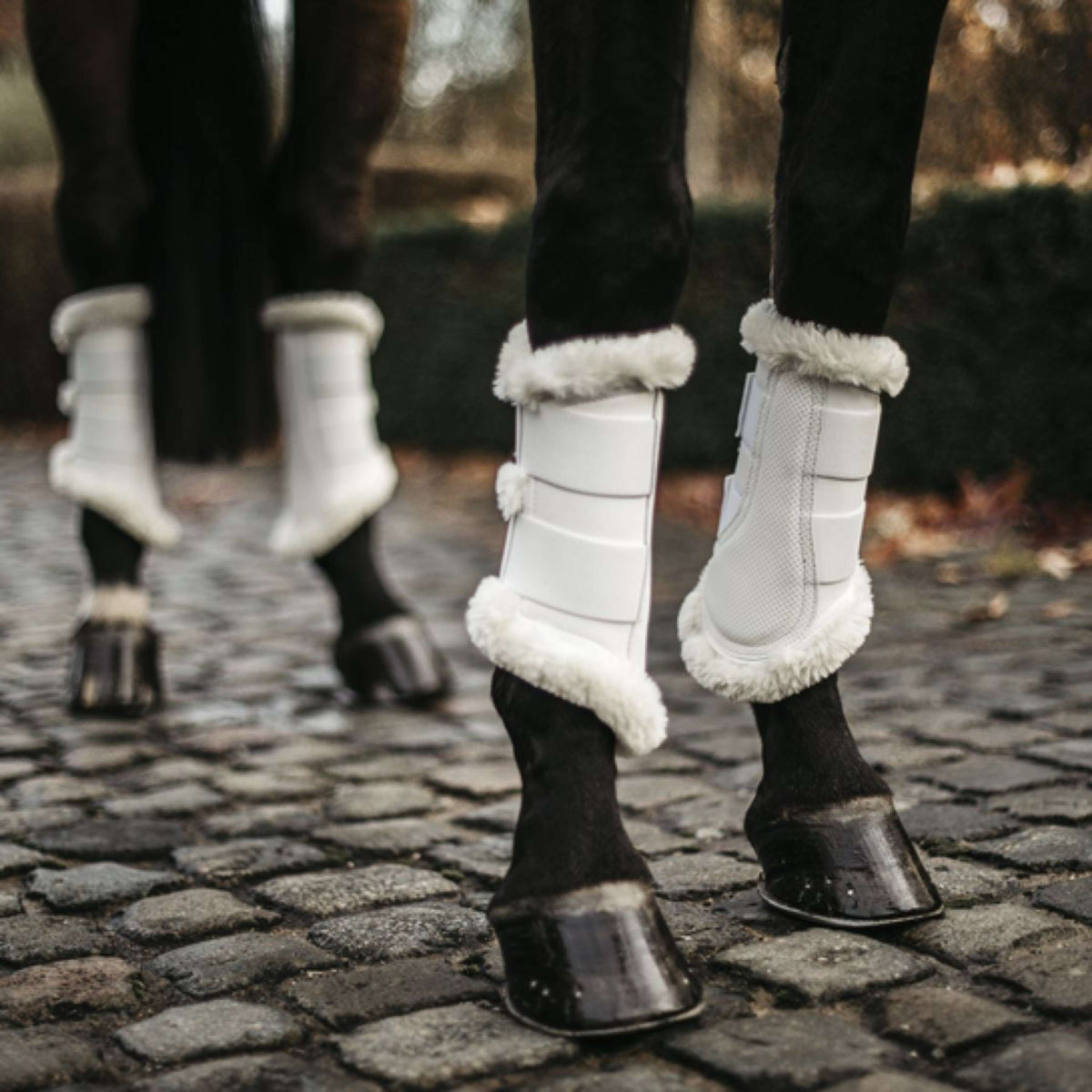 Kentucky Horsewear Stivali per l'affluenza alle urne Air Bianco