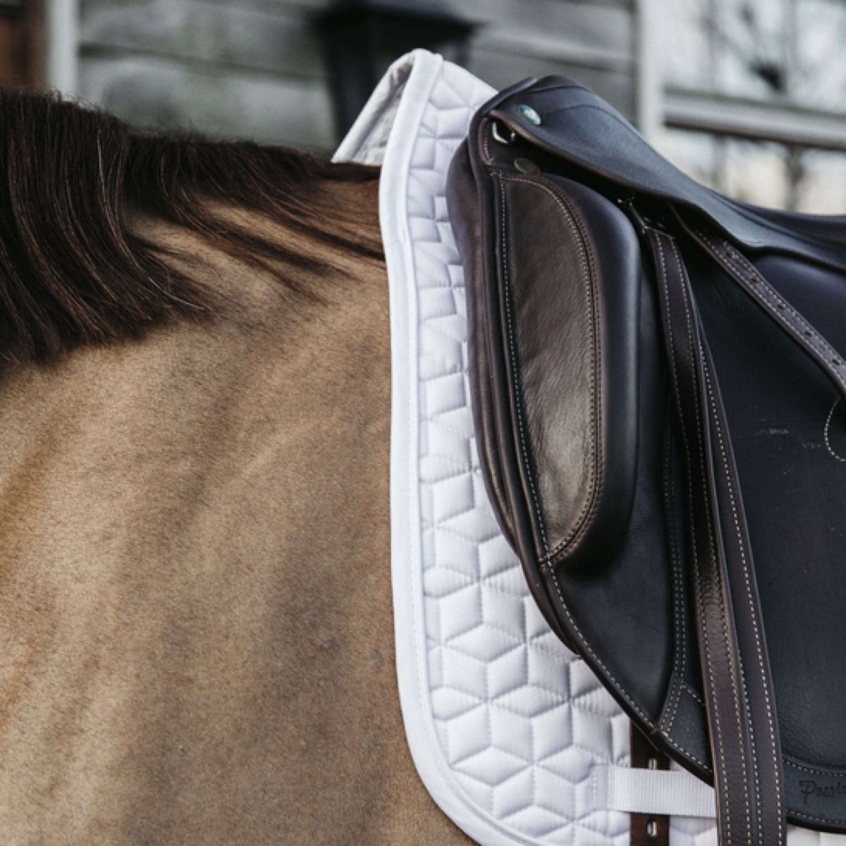 Kentucky Horsewear Sottosella Classic Bianco