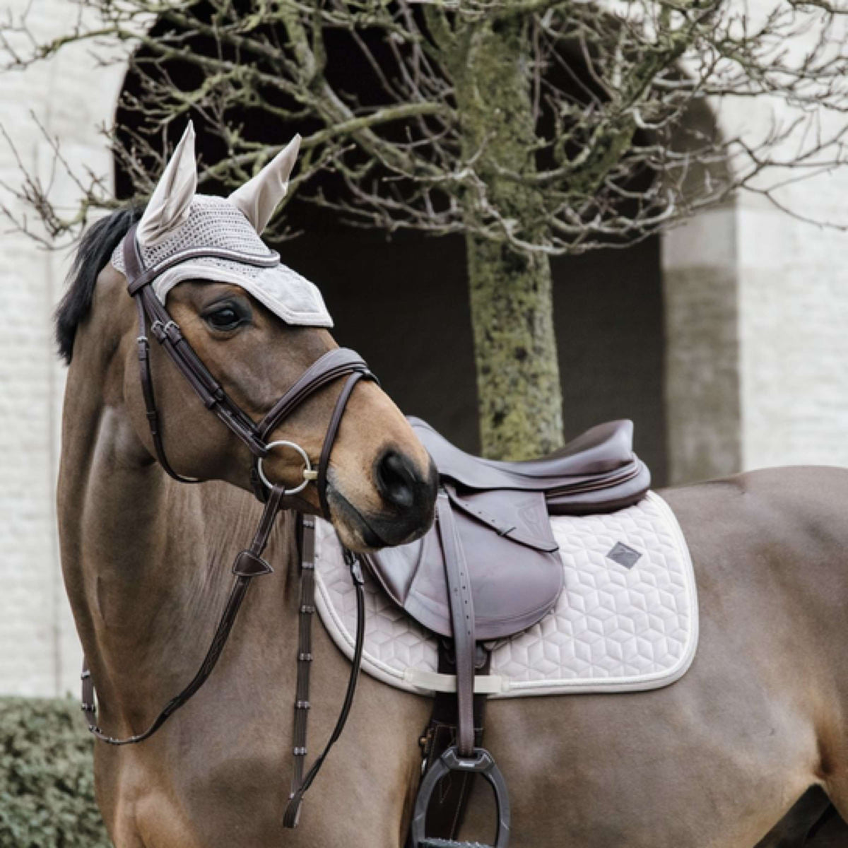Kentucky Horsewear Sottosella Basic Velvet Springen Beige