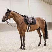 Kentucky Horsewear Sottosella Nero