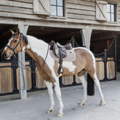 Kentucky Horsewear Sottosella Skin Friendly Velvet Springen Beige
