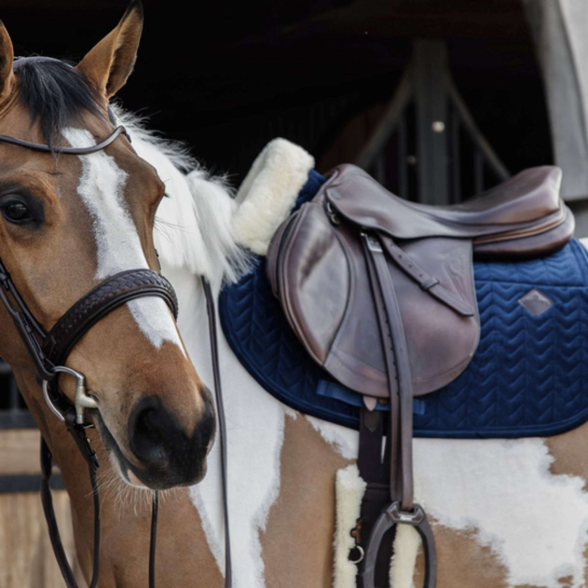 Kentucky Horsewear Sottosella Skin Friendly Velvet Springen Navy