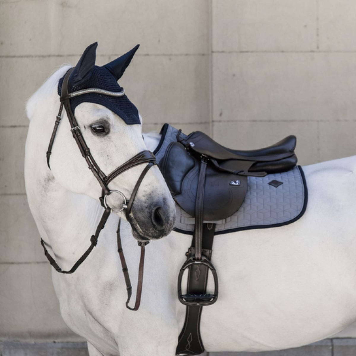 Kentucky Horsewear Sottosella Softshell Springen Grigio