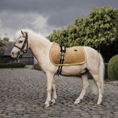 Kentucky Horsewear Sottosella Senape