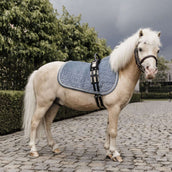 Kentucky Horsewear Sottosella Azzurro