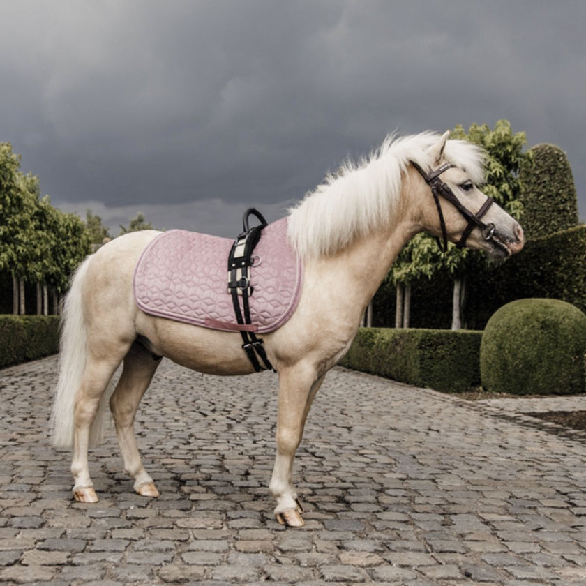 Kentucky Horsewear Sottosella Velluto Old Rose Kentucky Horsewear Sottosella Velluto Old Rose