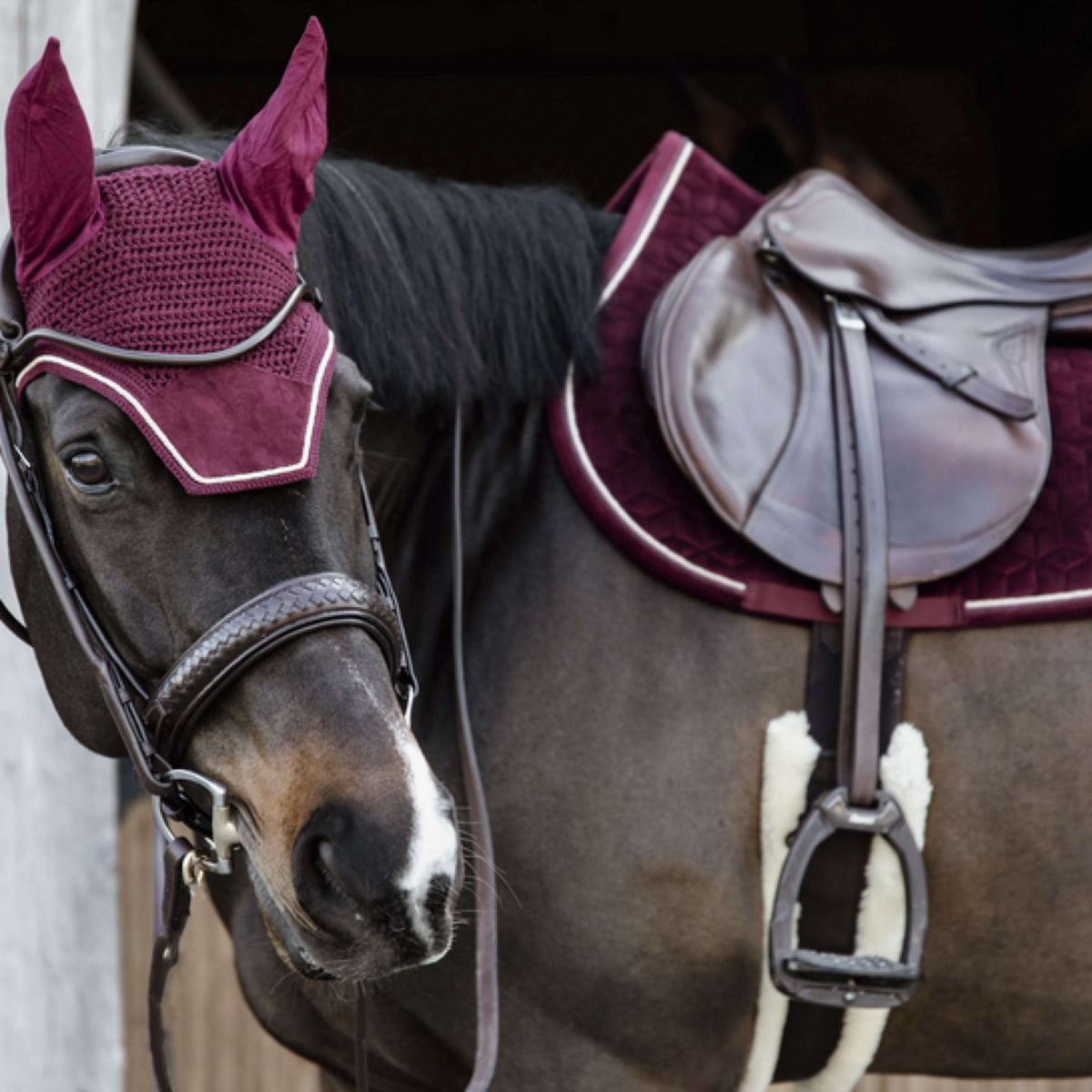 Kentucky Horsewear Sottosella Velvet Springen Bordeaux