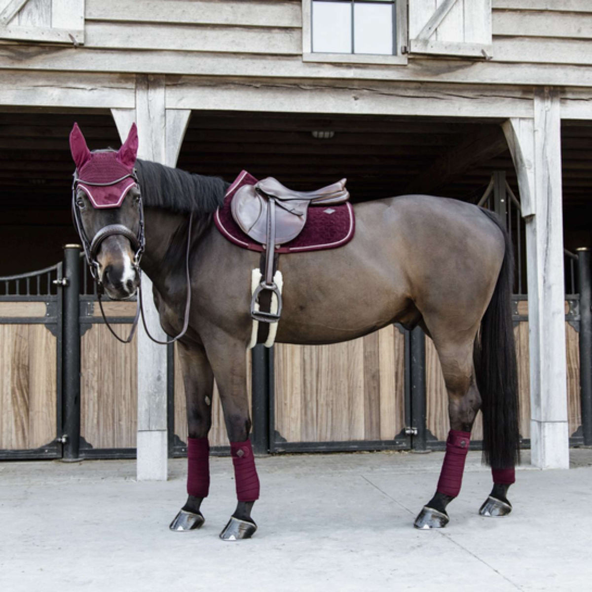 Kentucky Horsewear Sottosella Velvet Springen Bordeaux