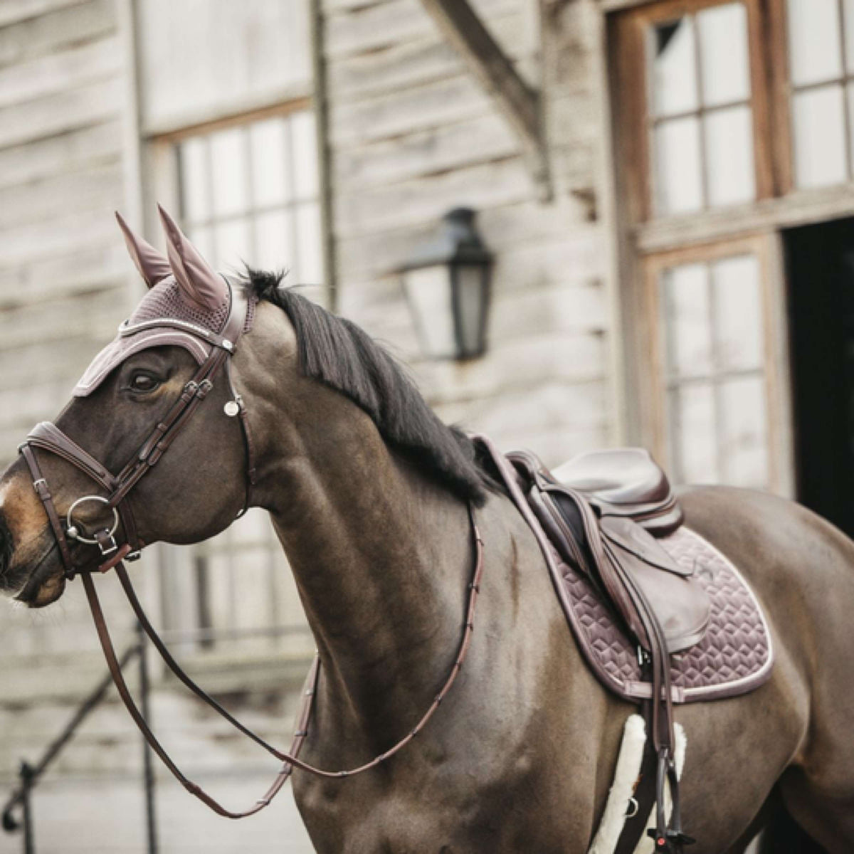 Kentucky Horsewear Sottosella Velvet Springen Viola chiaro