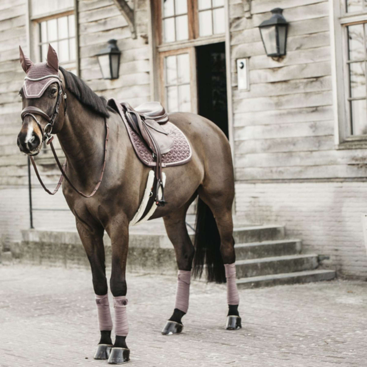 Kentucky Horsewear Sottosella Velvet Springen Viola chiaro
