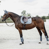 Kentucky Horsewear Sottosella da Salto Velvet Azzurro