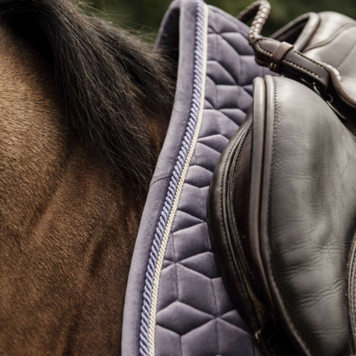 Kentucky Horsewear Sottosella Salto di velluto Purper