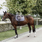 Kentucky Horsewear Sottosella Salto di velluto Purper