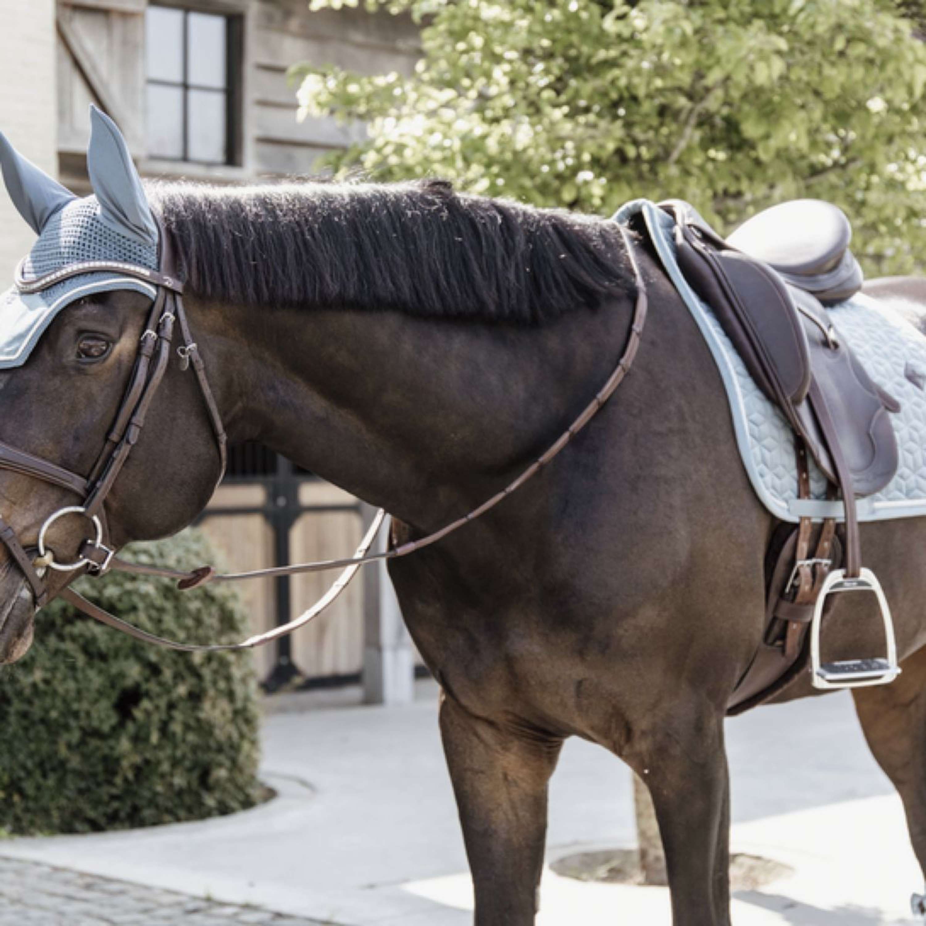 Kentucky Horsewear Sottosella Velvet Azzurro