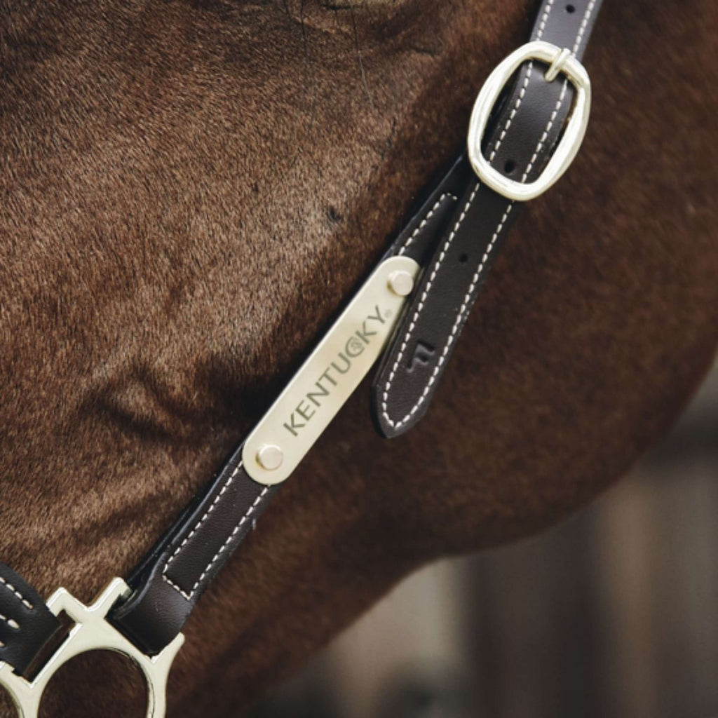 Kentucky Horsewear Targhetta Nome per il capezzone Gold