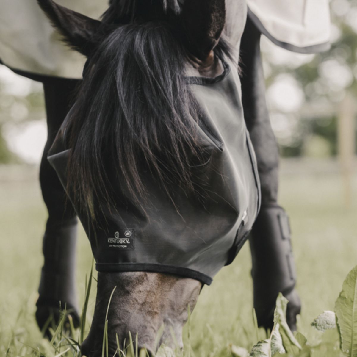 Kentucky Horsewear Maschera per Mosche Classic Nero