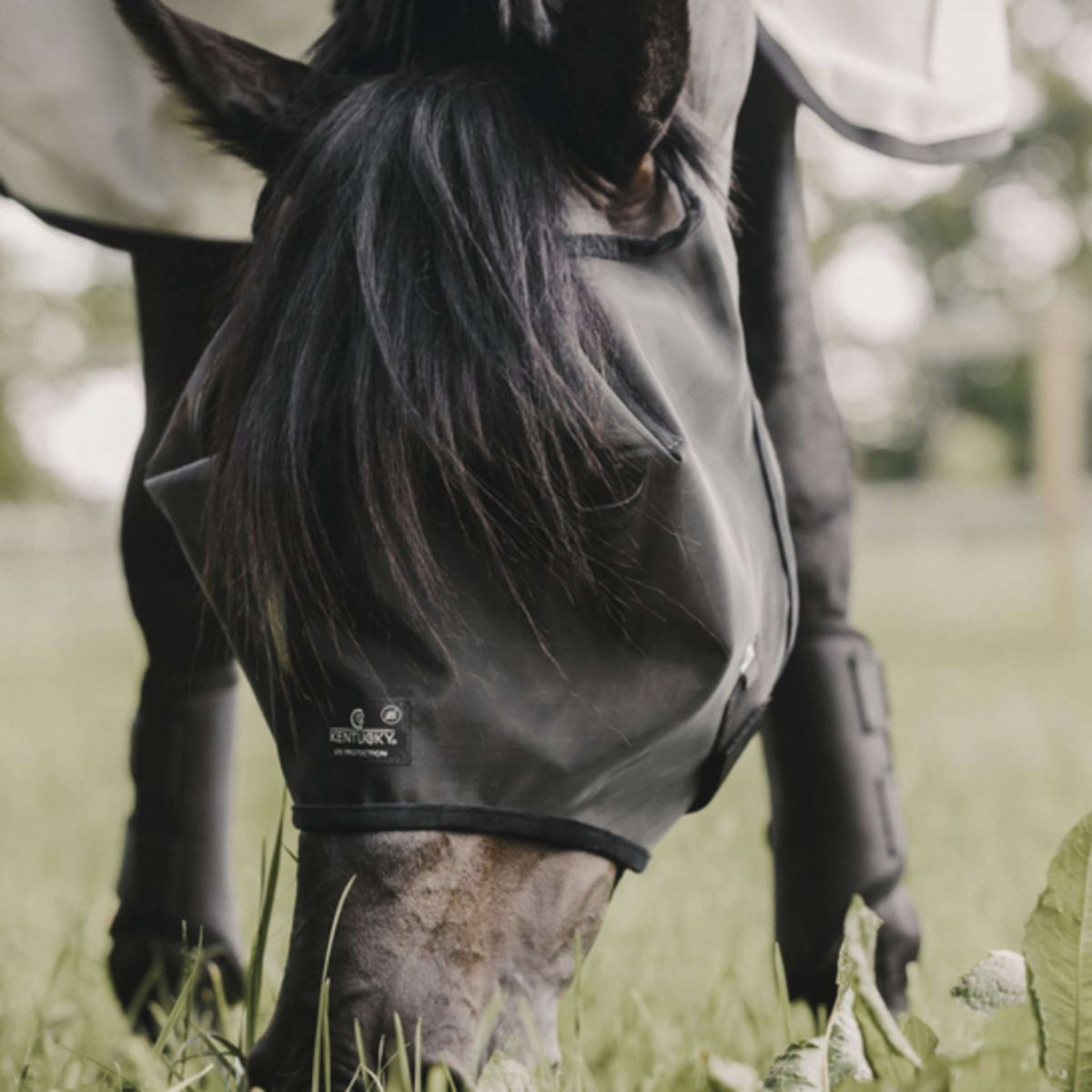 Kentucky Horsewear Maschera per Mosche Classic Nero