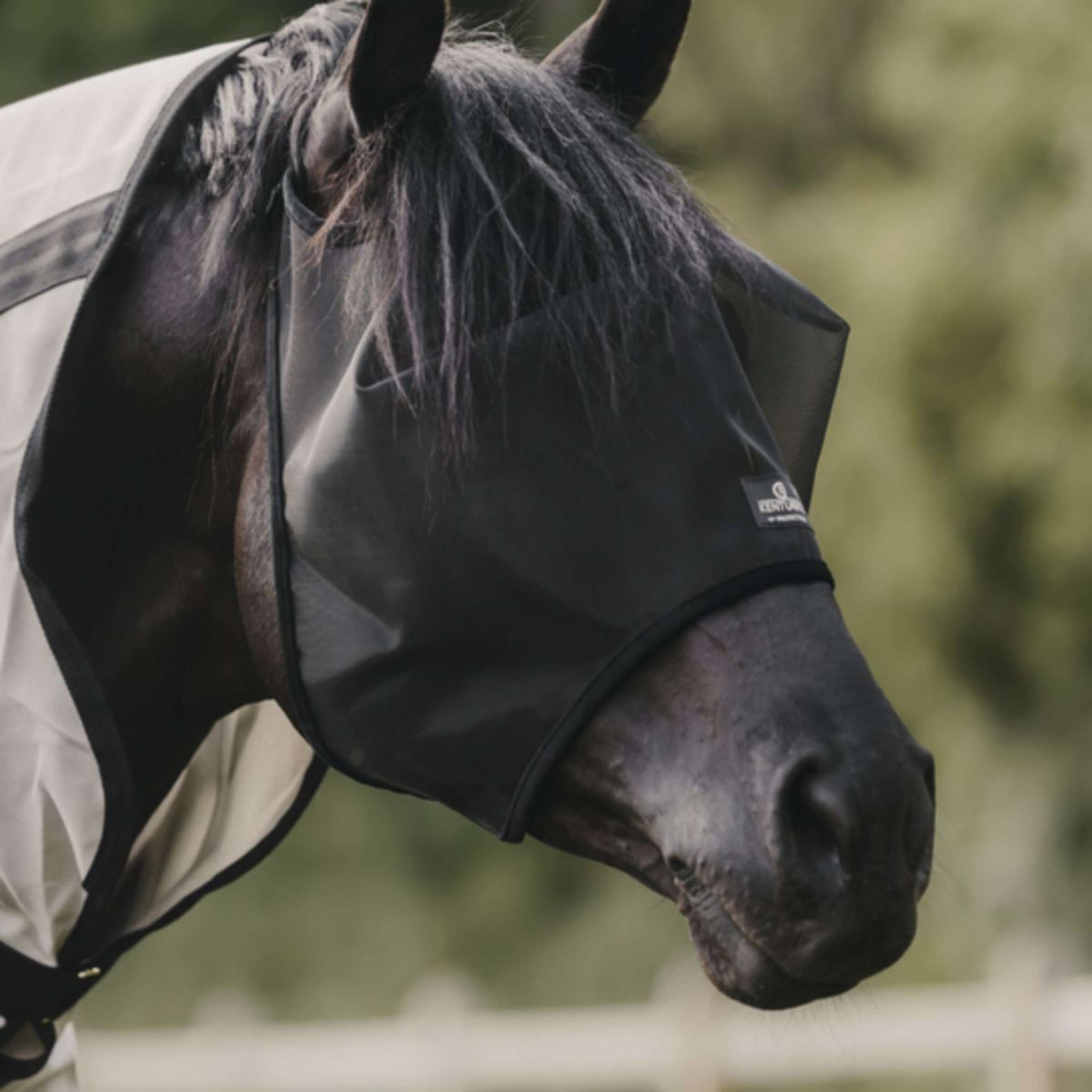 Kentucky Horsewear Maschera per Mosche Classic Nero Kentucky Horsewear Maschera per Mosche Classic Nero