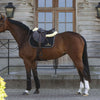 Kentucky Horsewear Sottosella Nero/Bianco/Marrone