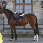 Kentucky Horsewear Sottosella Nero/Bianco/Marrone