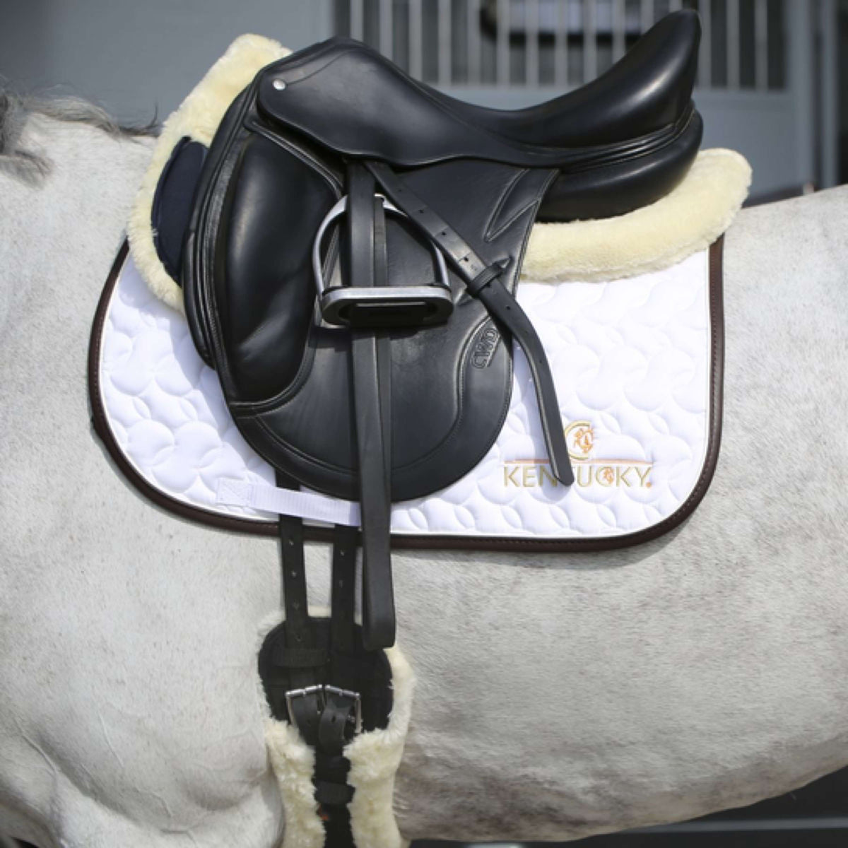 Kentucky Horsewear Sottosella White/Brown