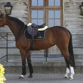 Kentucky Horsewear Sottosella Nero/Bianco/Marrone