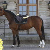 Kentucky Horsewear Sottosella Nero/Bianco/Marrone