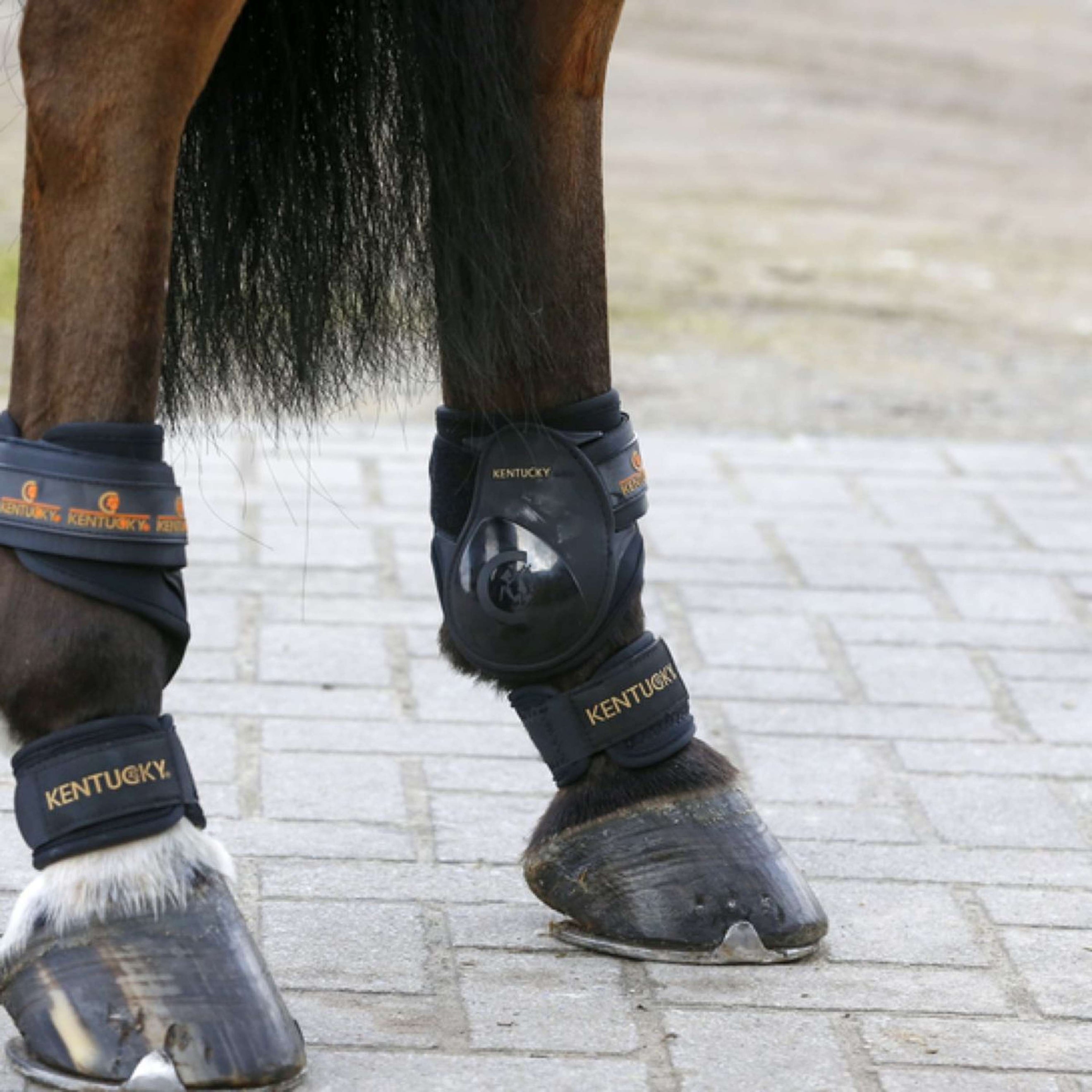 Kentucky Horsewear Paranocche Pastern Kentucky Horsewear Paranocche Pastern