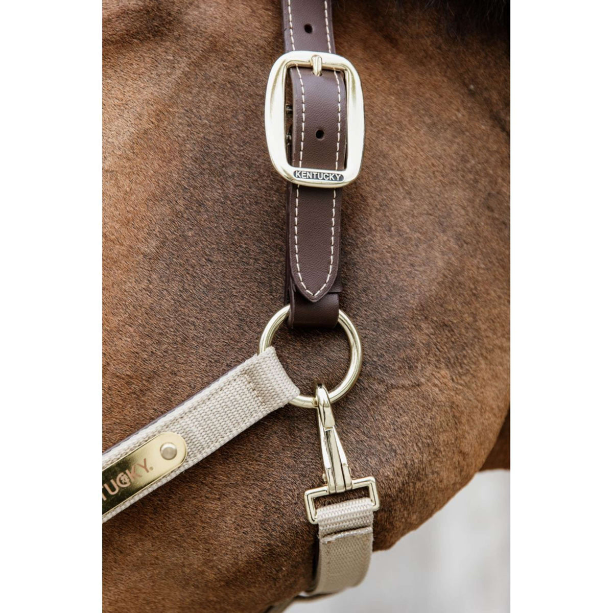 Kentucky Horsewear Capezzina Anatomic Nylon Beige