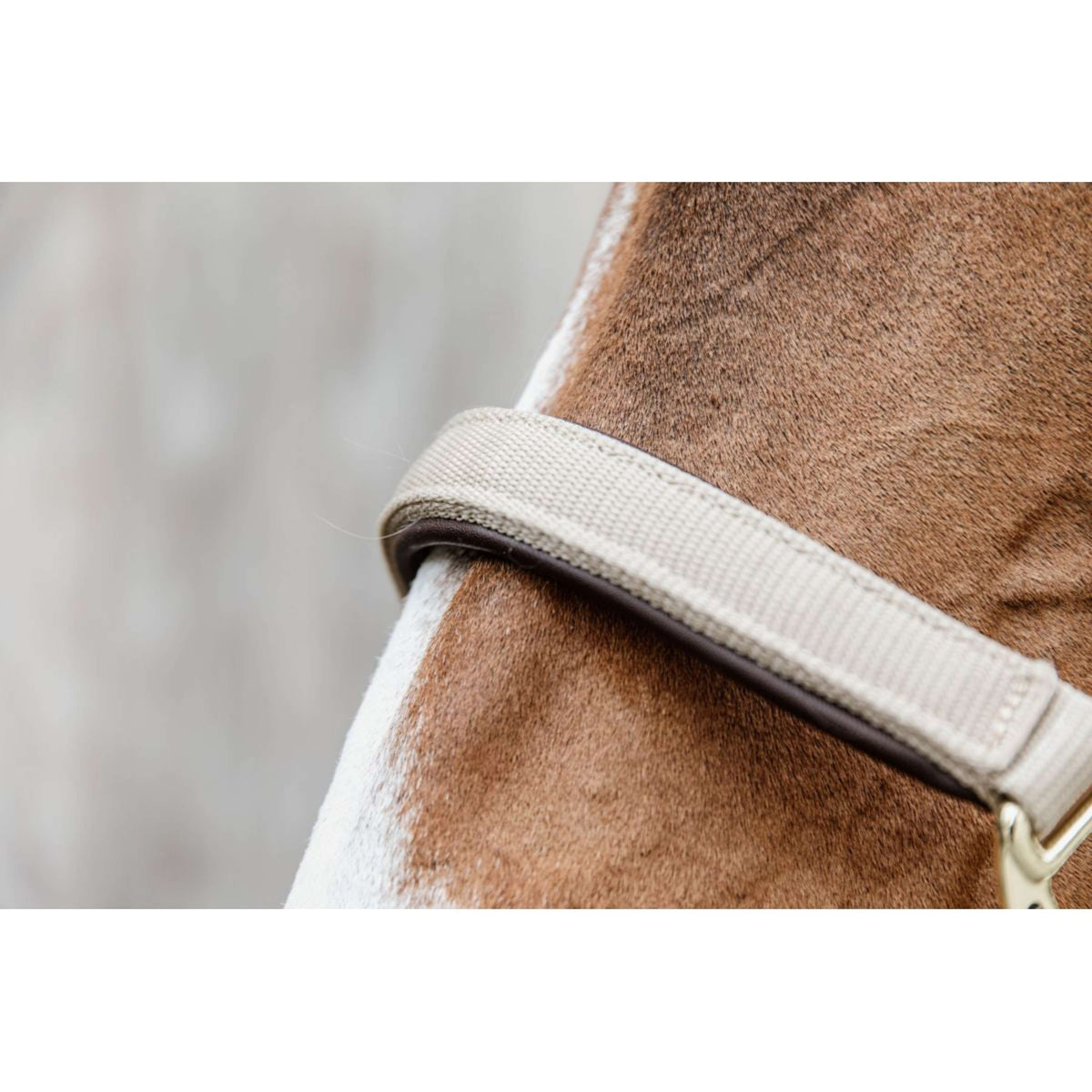 Kentucky Horsewear Capezzina Anatomic Nylon Beige