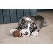 Kentucky Dogwear Giocattolo per Cani