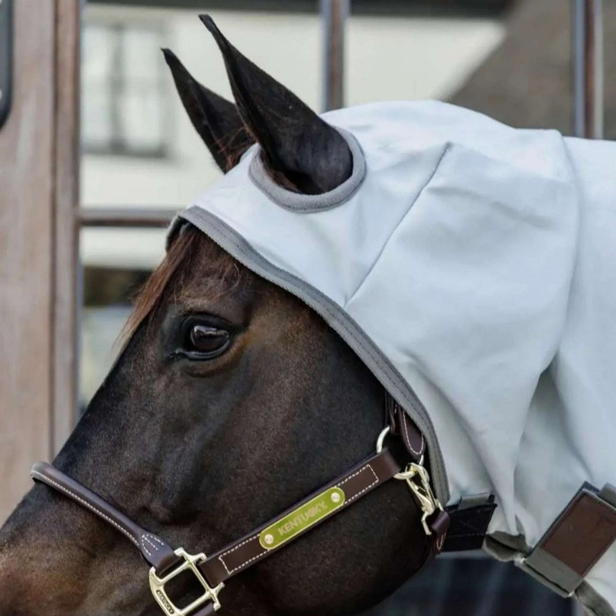 Kentucky Horsewear Coperta per Eczema Grigio