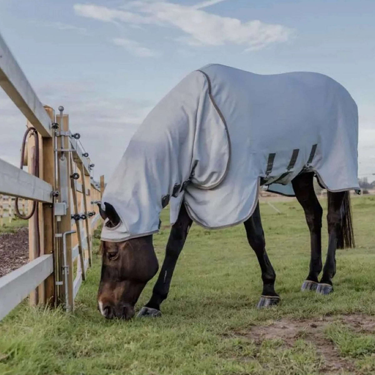 Kentucky Horsewear Coperta per Eczema Grigio