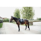 Kentucky Horsewear Sottosella Skin Friendly Nero