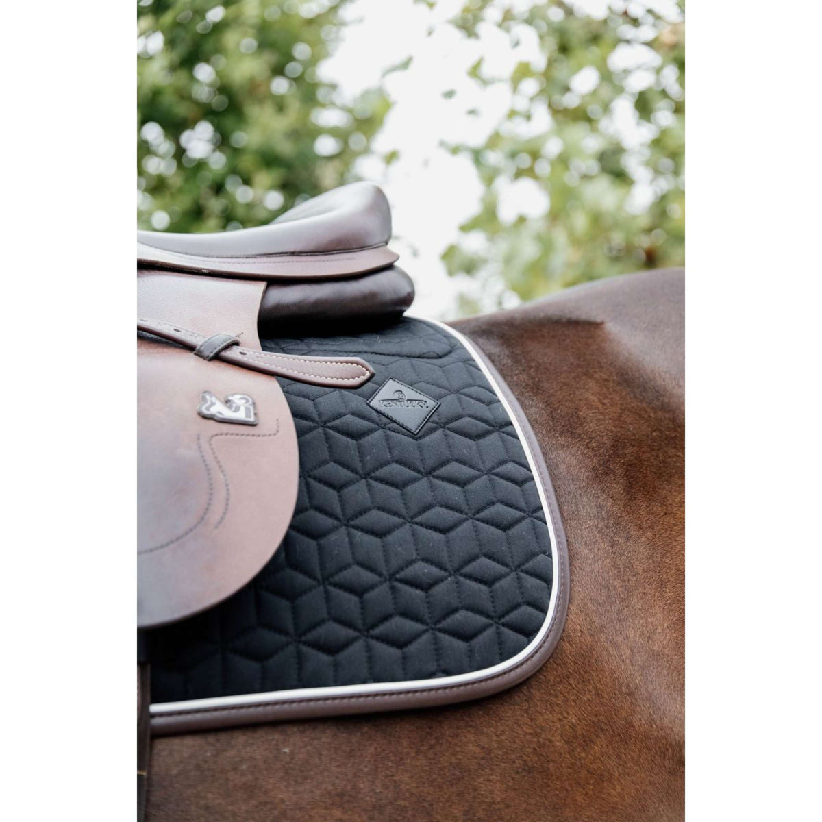 Kentucky Horsewear Sottosella Skin Friendly Springen Nero