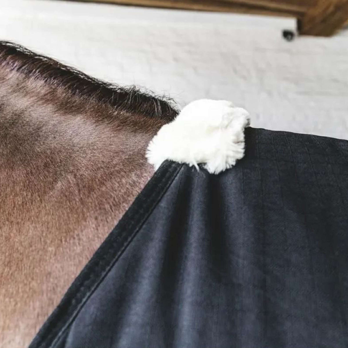 Kentucky Horsewear Coperta da scuderia Classic Nero