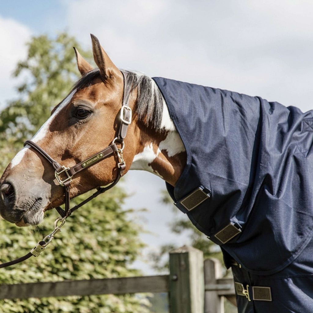 Kentucky Ritorno dell'affluenza alle urne All Weather Quick Dry Fleece with Neck 150g Navy