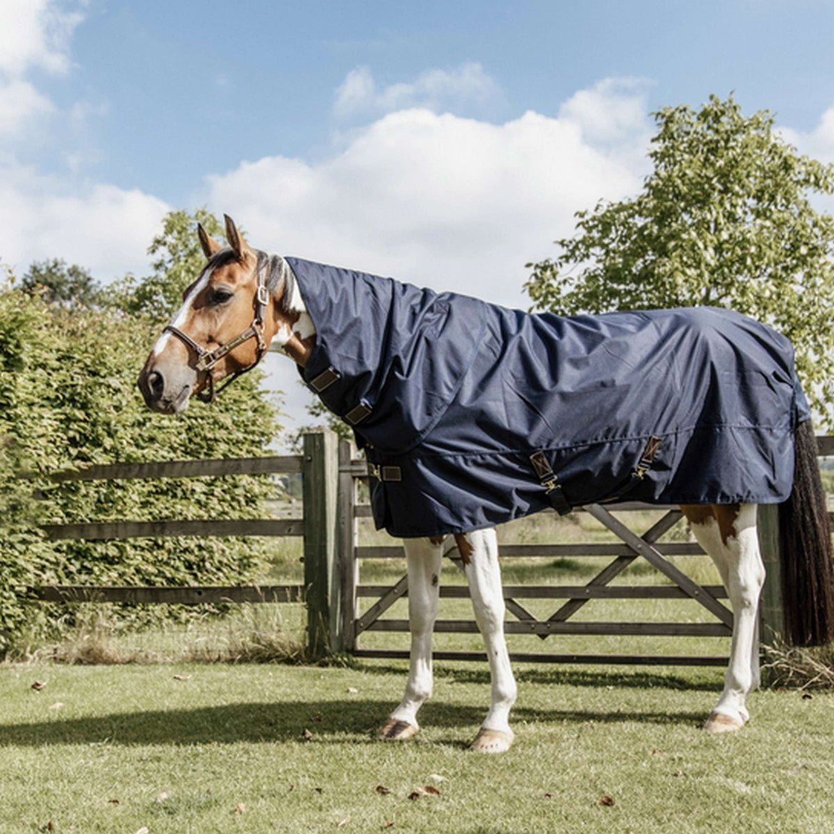 Kentucky Ritorno dell'affluenza alle urne All Weather Quick Dry Fleece with Neck 0g Navy